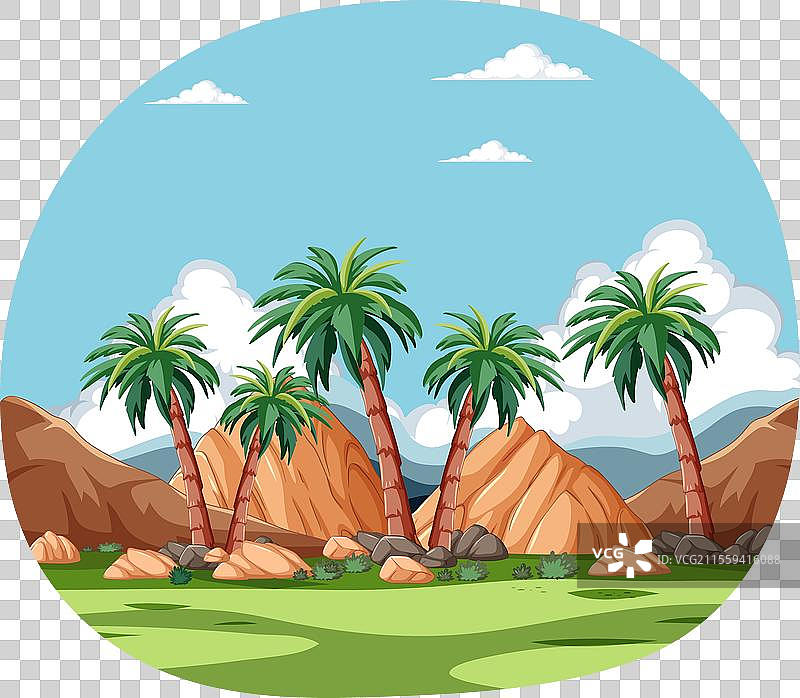 岩石沙漠环境中的棕榈树图片素材