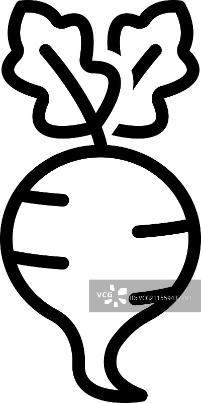 甜菜根图片素材