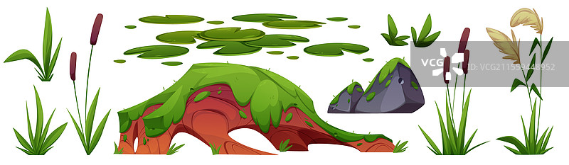 湿地草和苔藓石组合图片素材