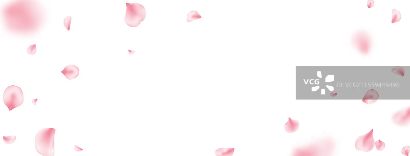 樱花花瓣春天绽放粉色玫瑰框架图片素材