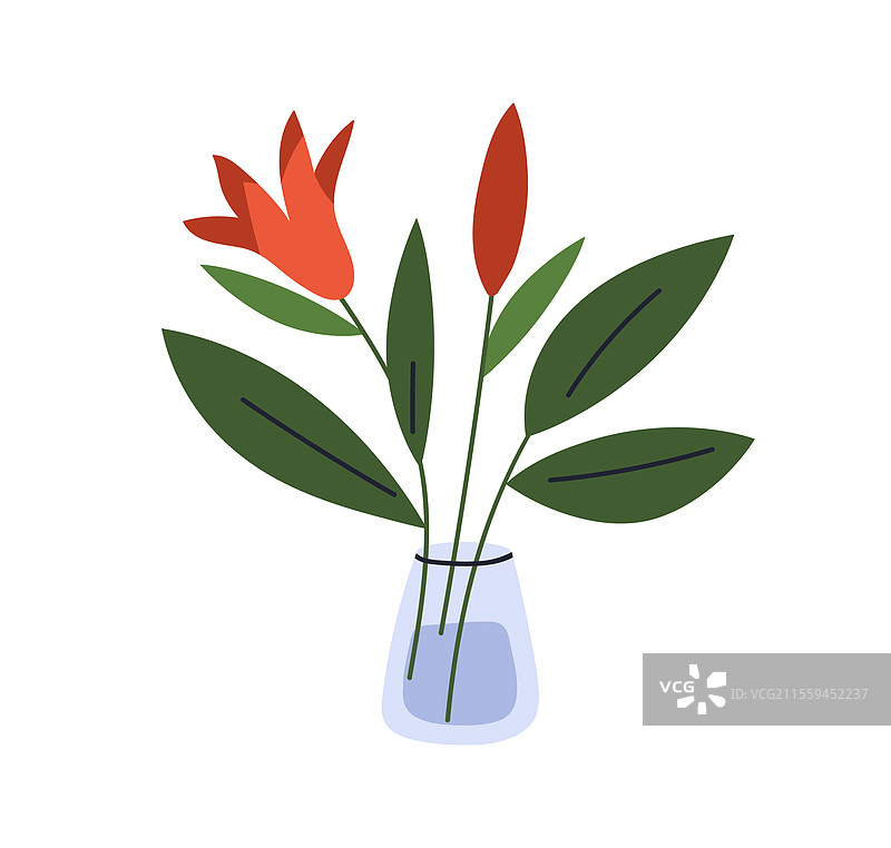 盛开的花朵在玻璃花瓶中，带有嫩芽和叶子。图片素材