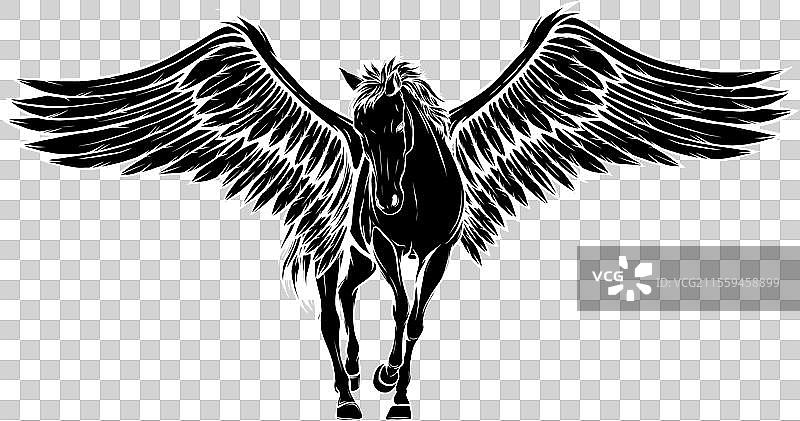 黑色背景上的白线马图片素材