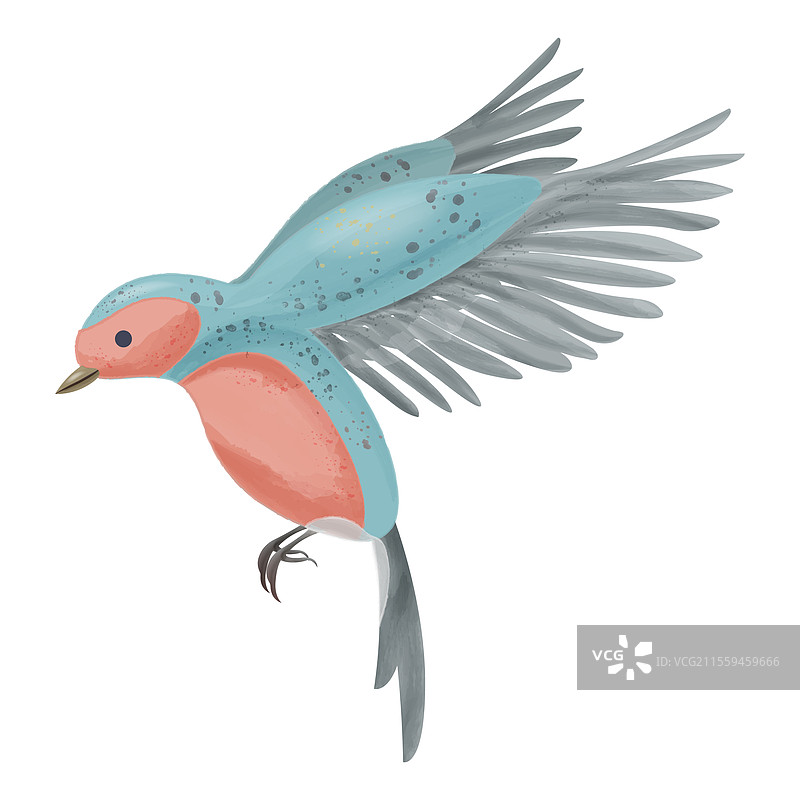 飞鸟的水彩画图片素材