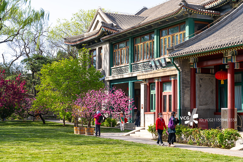春天清明节北京宋庆龄故居春花盛开图片素材