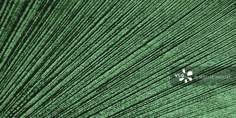 抽象的绿色背景与对角条纹图片素材