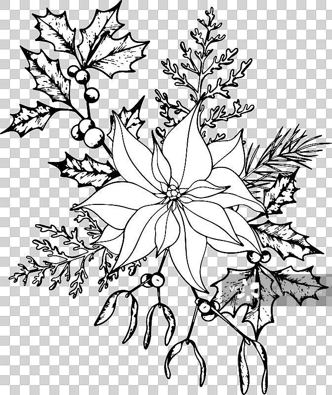 圣诞植物花束线条艺术墨水图形图片素材