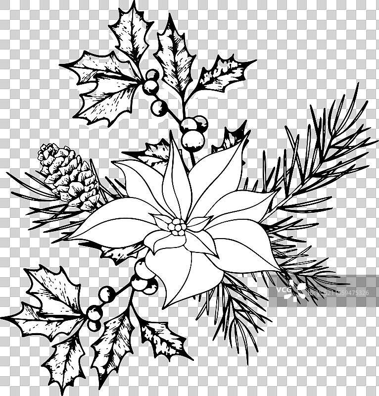 圣诞植物花束线条艺术墨水图形图片素材