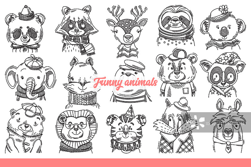 森林或草原上搞笑动物的面孔图片素材