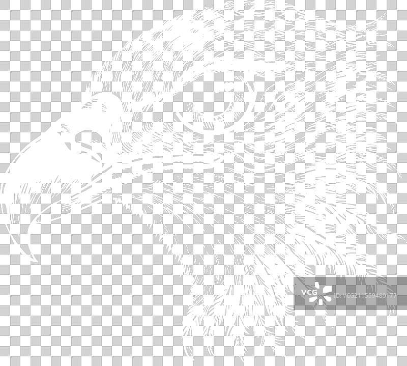 黑白色的鹰头图片素材