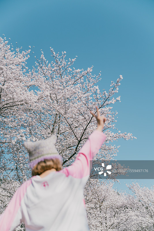 一个女孩在站在樱花盛开的树下图片素材