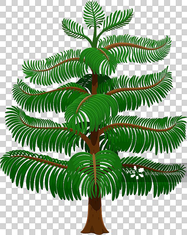 卡通热带雨林常青树植物图片素材