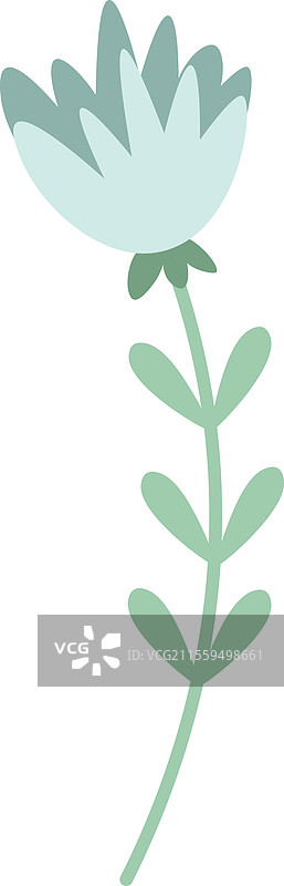 细茎细叶的浅绿色野花图片素材