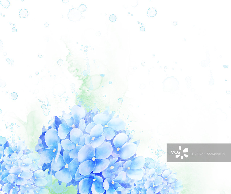 绣球插画图片素材