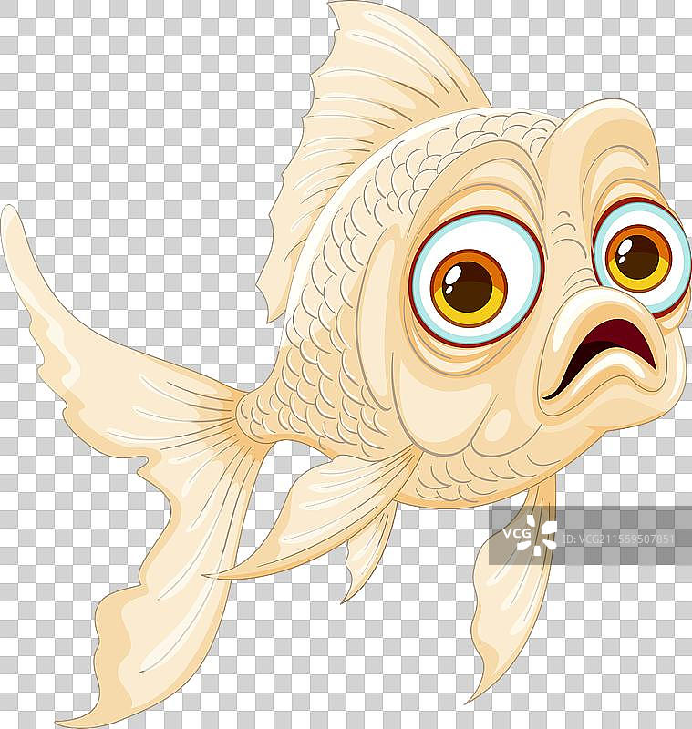 色彩丰富的惊讶金鱼细节图片素材