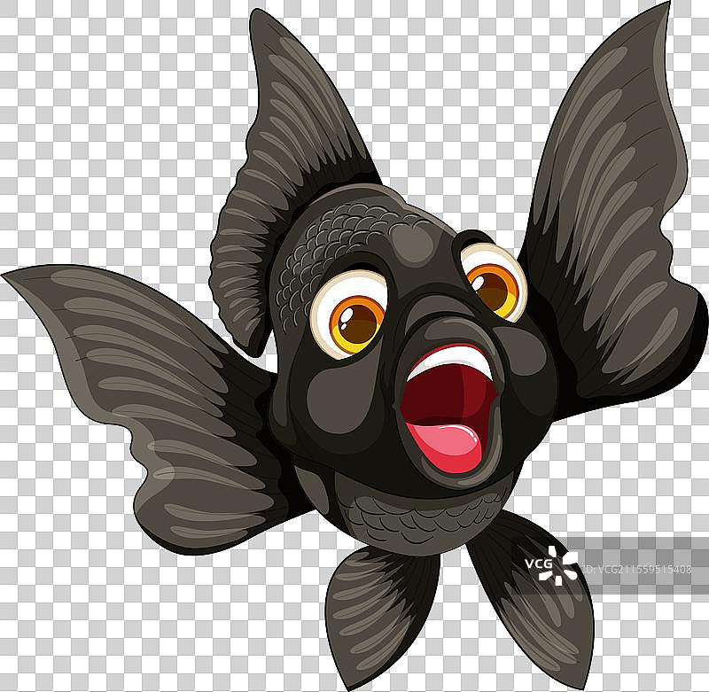 一条快乐的黑色金鱼图片素材