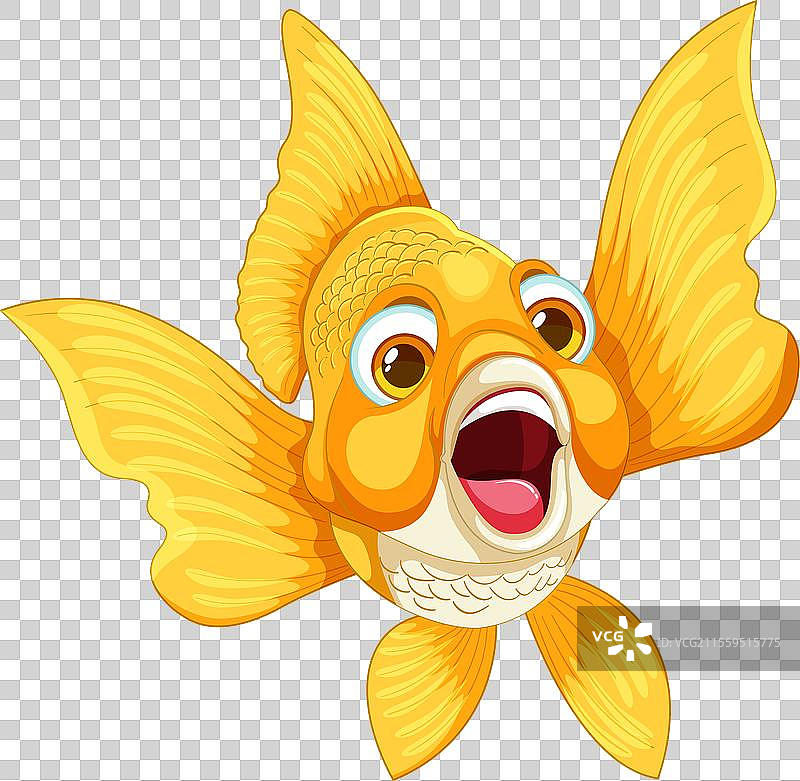 快乐的金鱼在水中欢快地游动图片素材