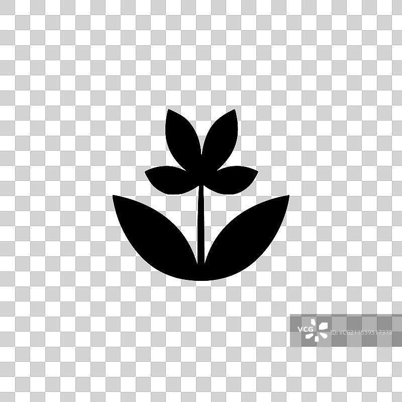 花卉 - 高质量标志 - 适合T恤使用图片素材