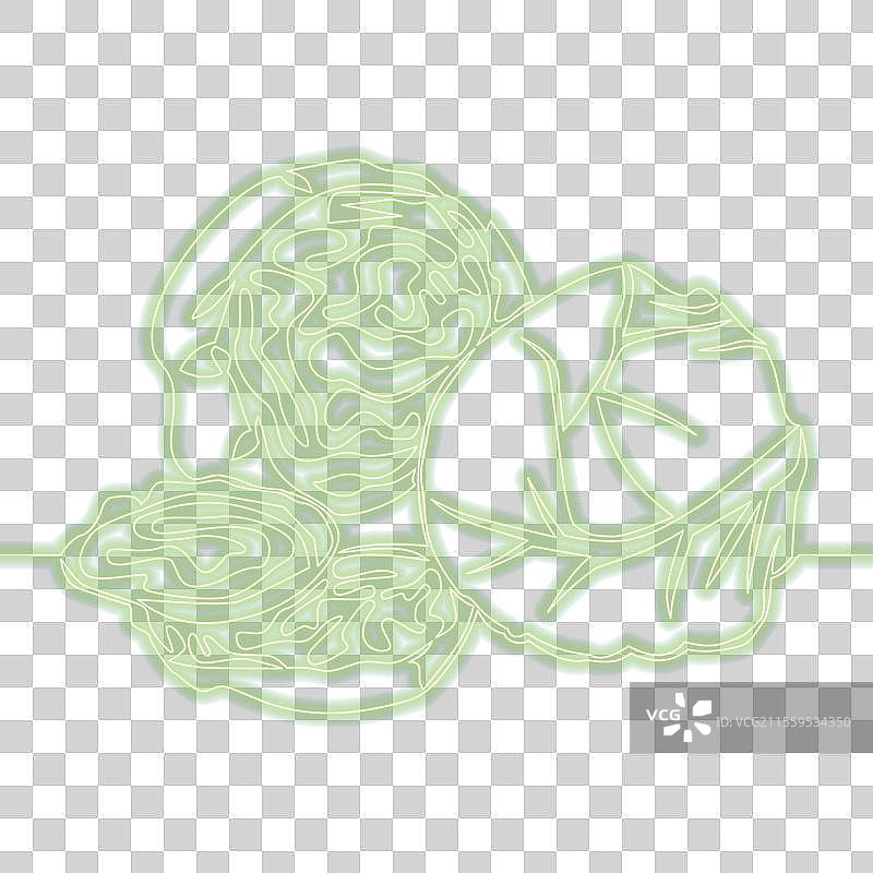 卷心菜农业植物饮食图标霓虹概念图片素材