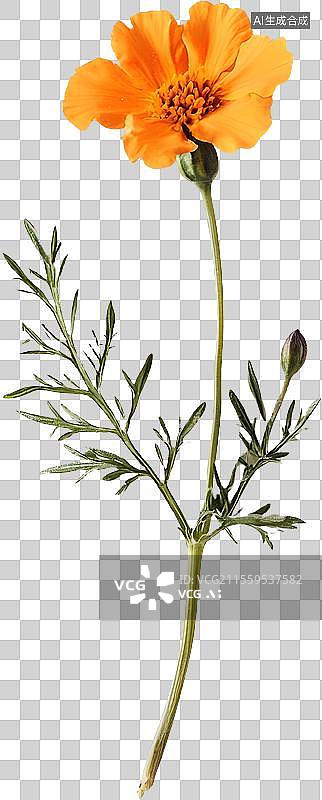 【AI数字艺术】春日里的花朵图片素材