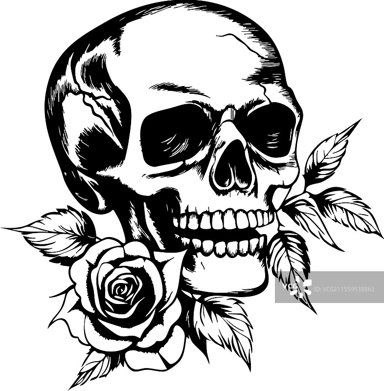 单色骷髅与精致的玫瑰图片素材