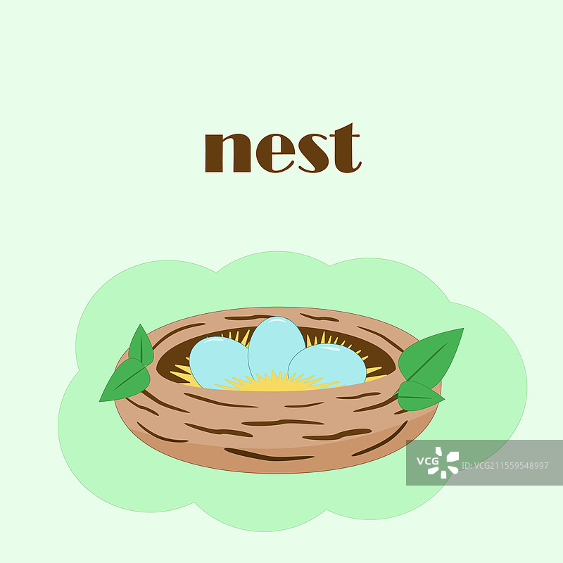 鸟巢里有蛋图片素材