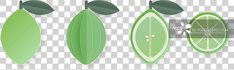 三维纸雕切割的青柠片切割柑橘水果套装图片素材