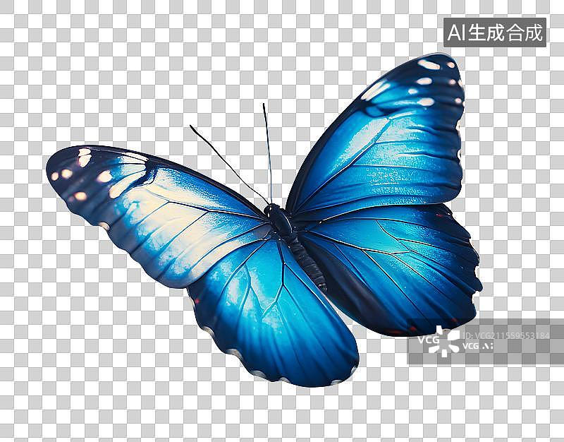 【AI数字艺术】美丽蝴蝶图片素材