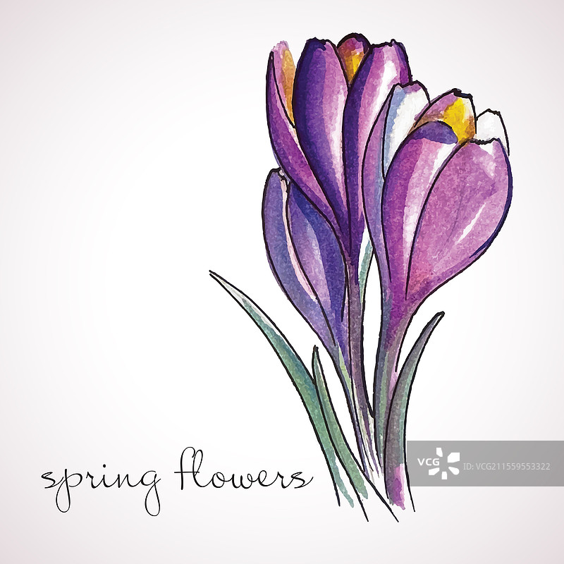 水彩春花春季节日贺卡图片素材