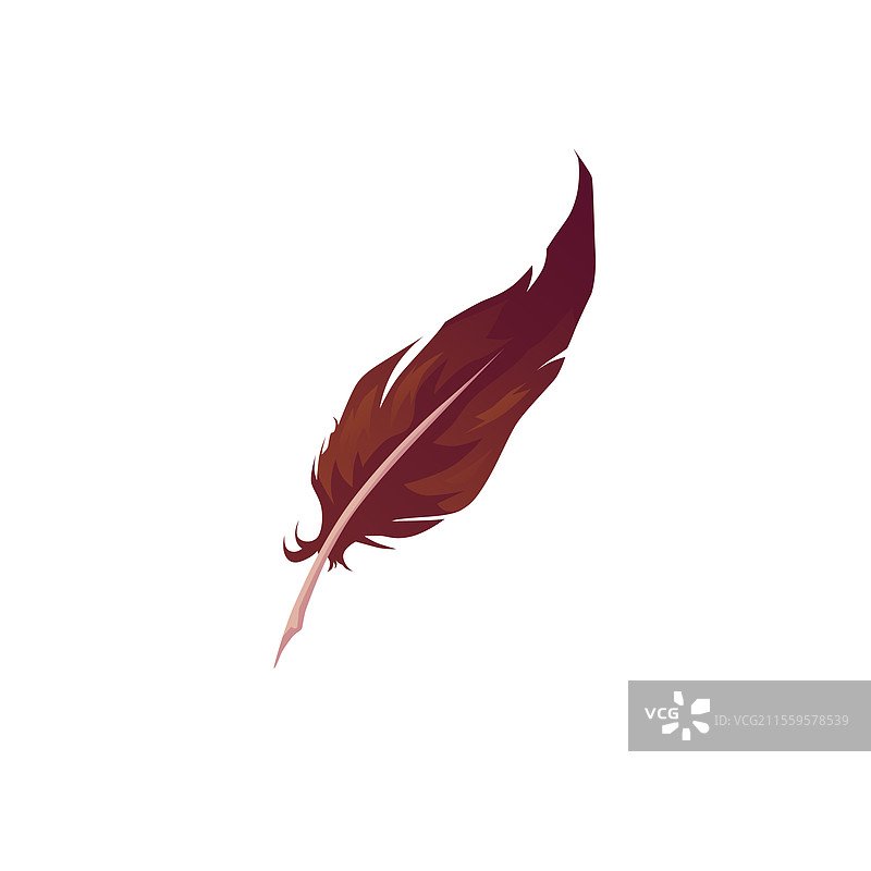 单个棕色羽毛扁平卡通图标图片素材