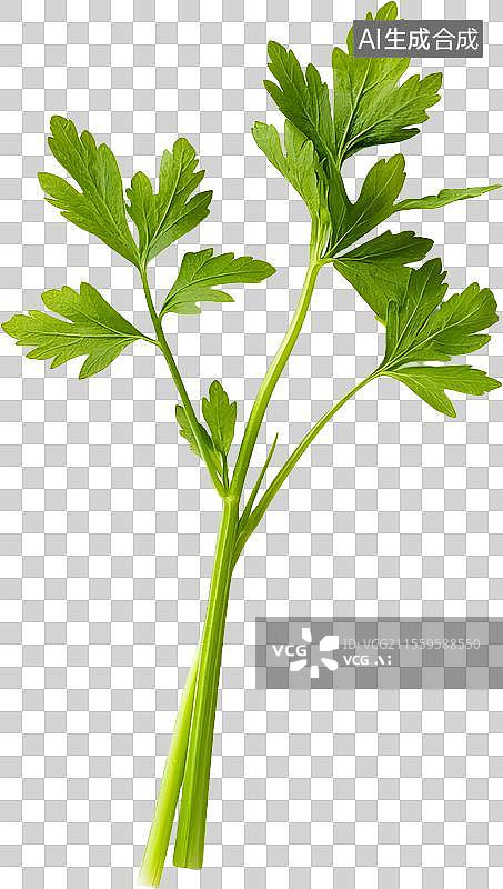 【AI数字艺术】新鲜的芹菜图片素材