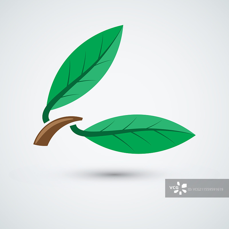干净的叶子logo设计图标模板图片素材