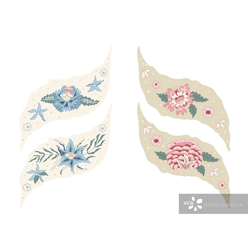 白色背景上的花卉元素与花朵孤立展示图片素材