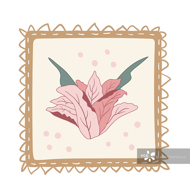 花卉郁金香方形徽章元素花蕾图片素材