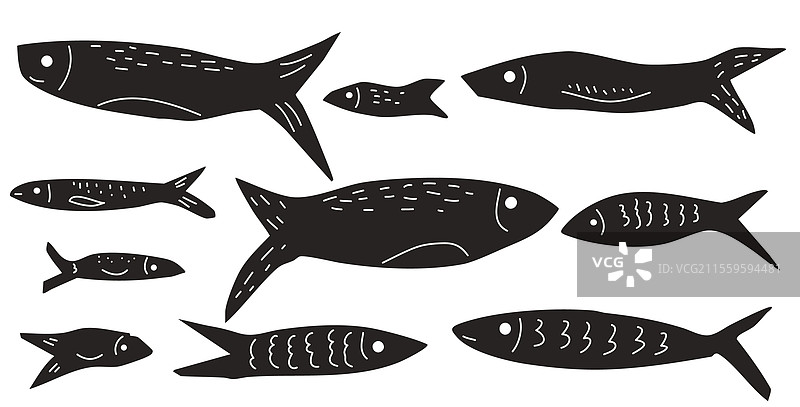 鱼类系列：沙丁鱼、鱼群、收藏、鲑鱼图片素材