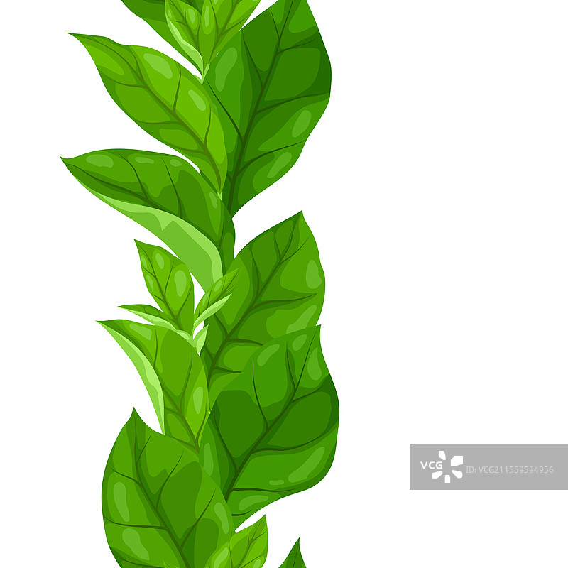 春季或夏季风格化的叶子图案图片素材