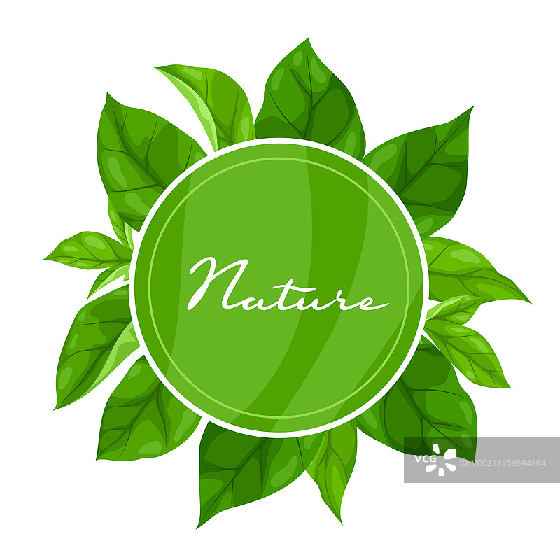 春季或夏季风格化的叶子背景图片素材