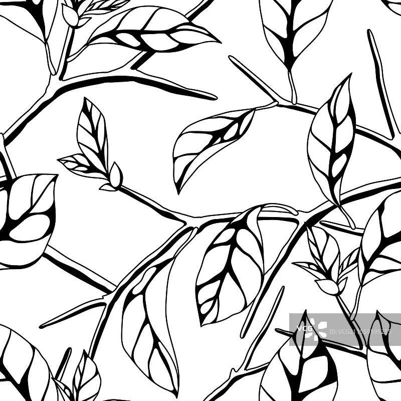 春夏季节的树枝和叶子的图案图片素材