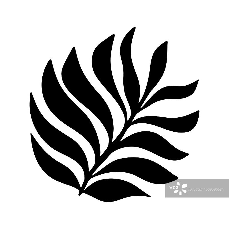 抽象花朵形状的有机极简花卉设计图片素材