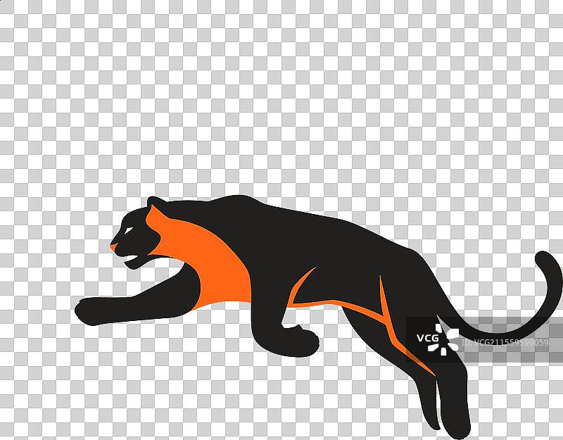 黑豹优雅地跳跃的大猫图片素材