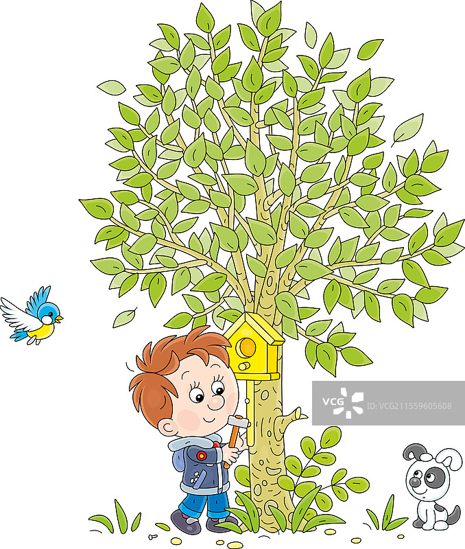 小男孩在挂鸟屋图片素材