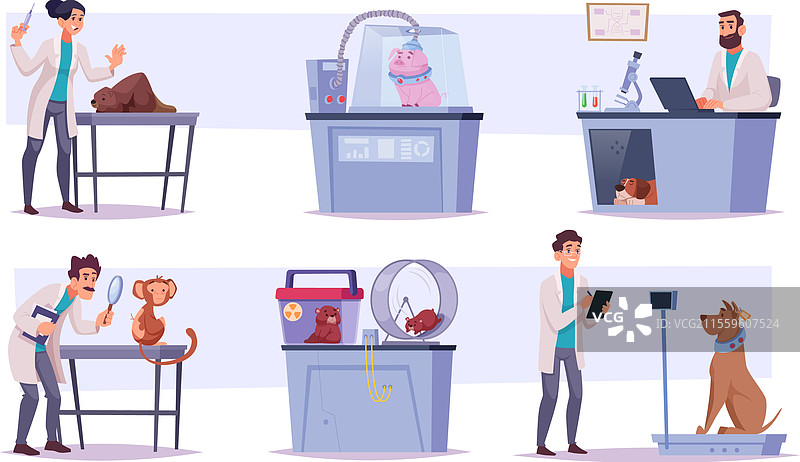 不同科学家的动物实验图片素材