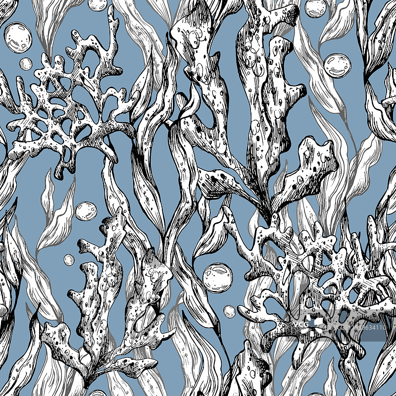 水下世界剪贴画，包含海洋动物和气泡图片素材