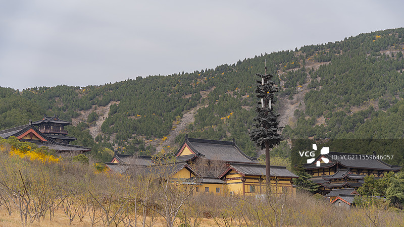 徐州市大洞山的春天图片素材