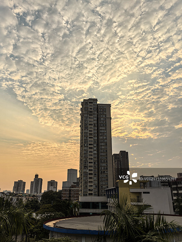 文园中学的朝霞图片素材