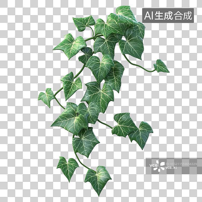 【AI数字艺术】3D免抠元素卡通爬山虎常青藤藤本植物图片素材