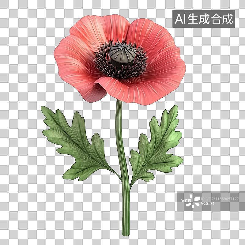 【AI数字艺术】3D免抠元素卡通红色罂粟虞美人花朵图片素材
