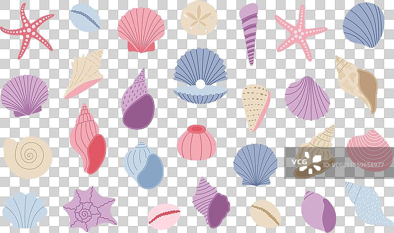 可爱的海贝、海星、蛤蜊和海螺组合图片素材