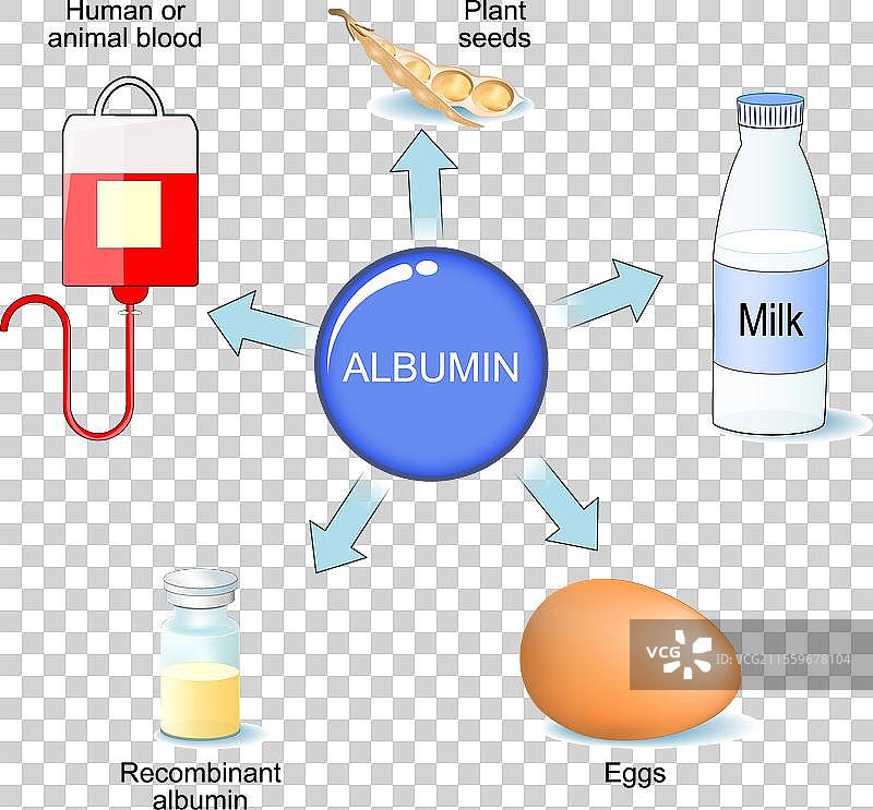 白蛋白 血浆蛋白图片素材