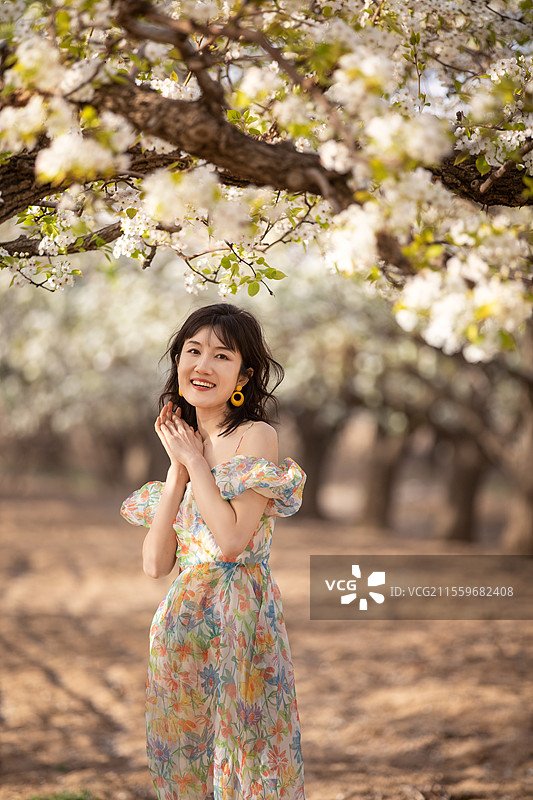 春天梨花盛开的美丽少女图片素材