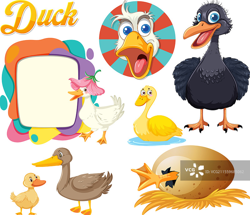各种顽皮而富有表现力的鸭子图像图片素材